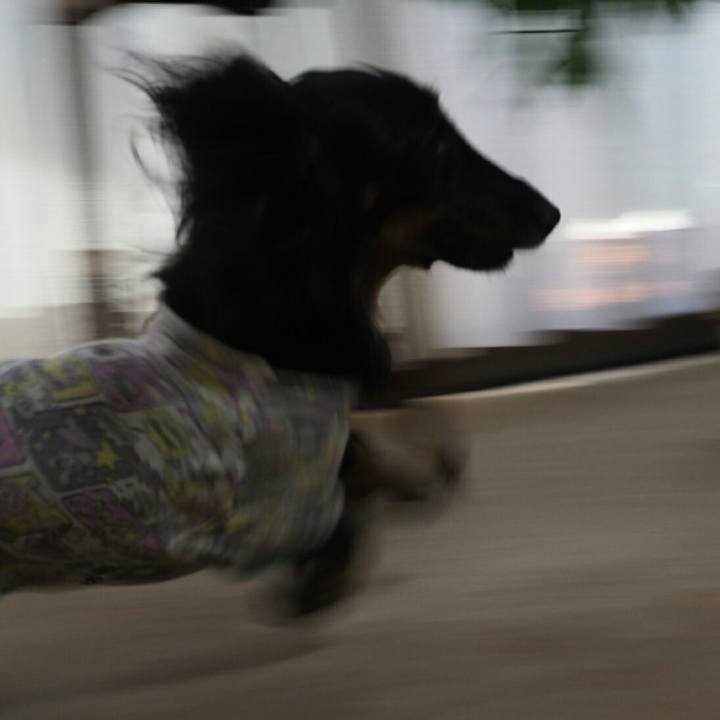 53fedeb4 582e 48c8 9e64 1c0709f173d7 1568845853171