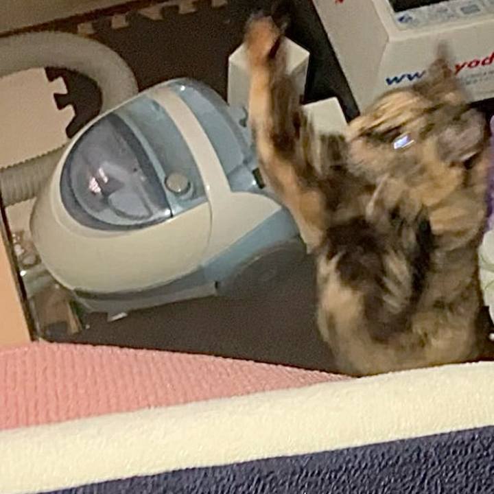 53fee34b edd4 4ba7 890b 8e896d4cdd16 1733255218661