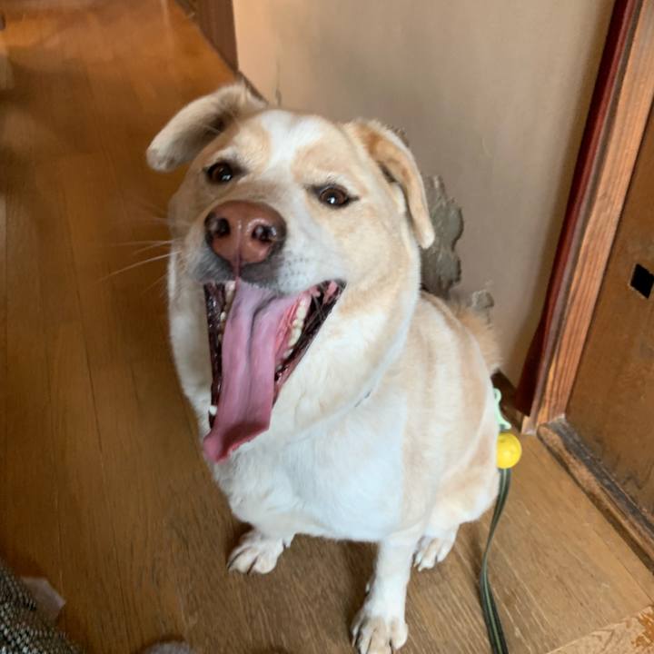 53ff2d0b 371d 41b4 88da 4c2a84bcace1 1550647080478