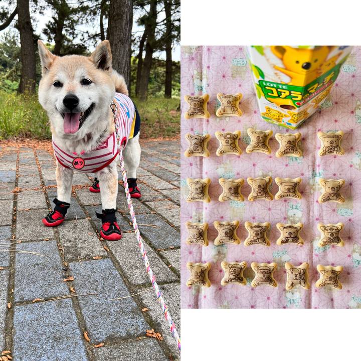 53ff326d b0b6 4618 863a fb2229ce85f0 1748747198518