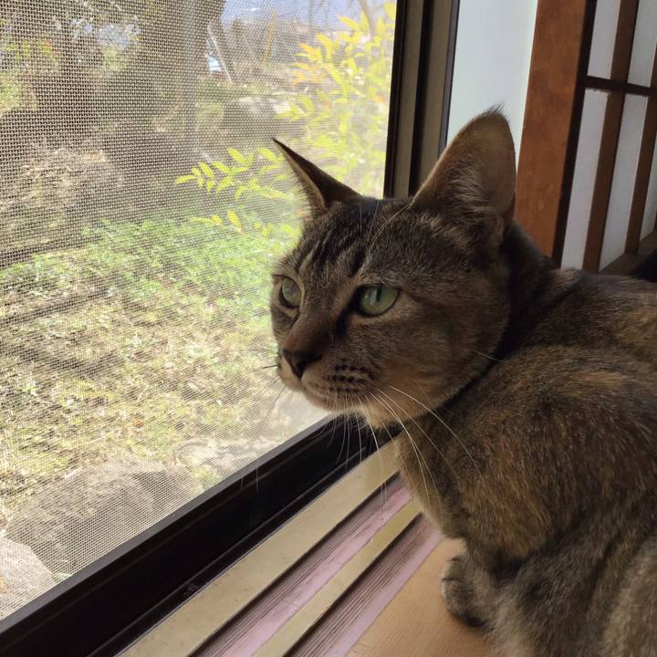 53ff3ff4 e86d 4127 b428 cc640501d009 1584065990975