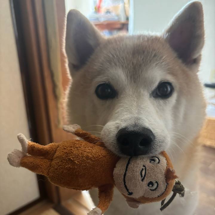 53ff50fc 9b7e 47d6 9fd2 5acd17b50d13 1737841124402