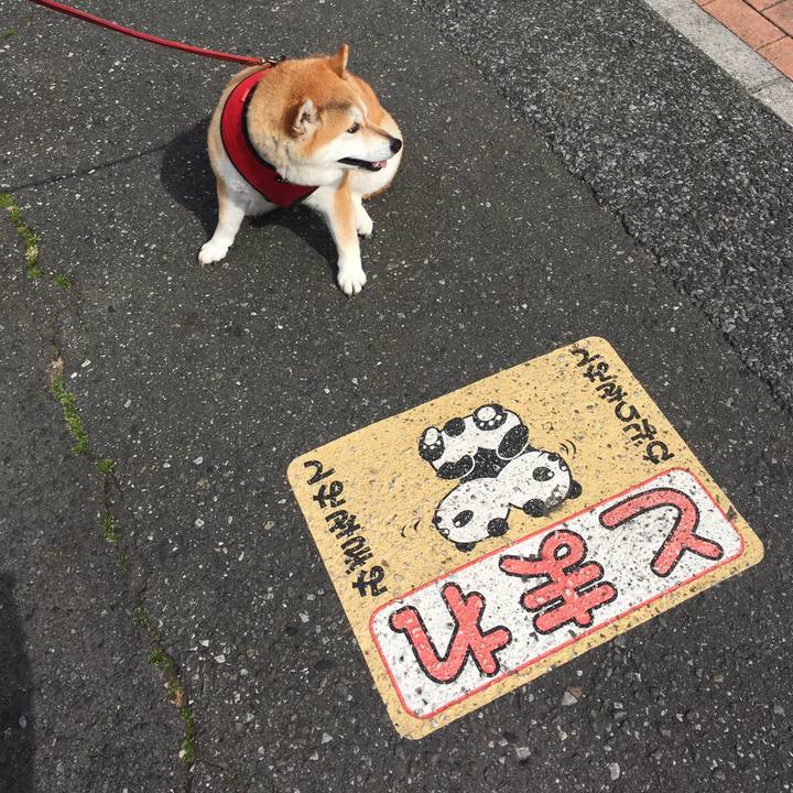 53fff8d5 7516 45d6 a0d4 d64fa54e8324 1616894458776