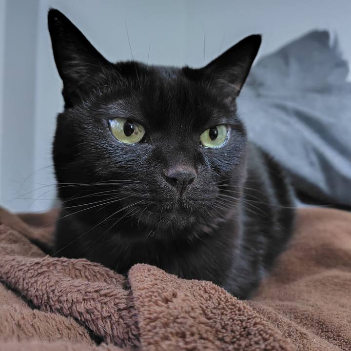 54000a02 b6dc 4041 b525 33af8d565534 1739522576198