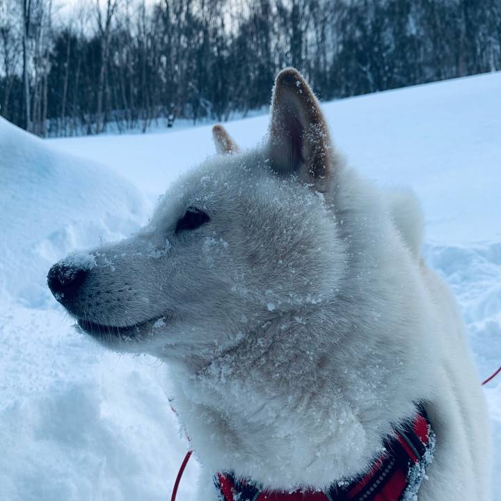 54005243 3d78 41ff 8081 9c363d400ba2 1614390238524