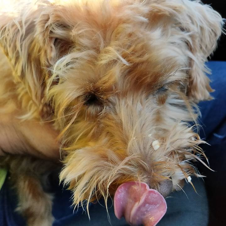 5400be4c 33ec 44a9 8ae5 6e274683b944 1603143138960