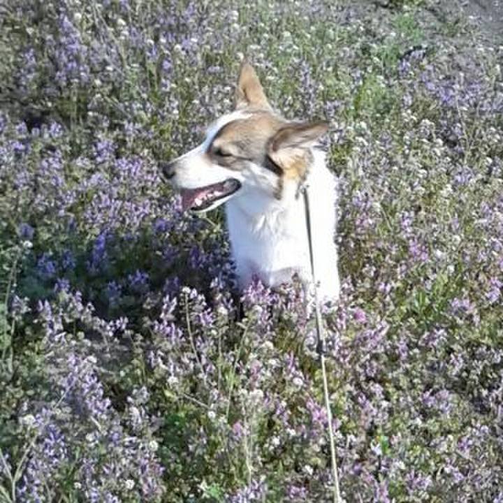 5400ca07 b745 4178 9634 75a75b589304 1522651019111