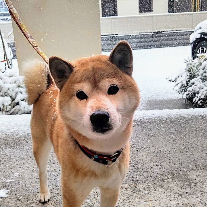 5400d0e5 a81c 4875 9466 b98434ccc86e 1641453121905