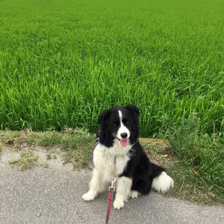 5400d57a db03 4bec 9a78 9462f342230e 1564189469211