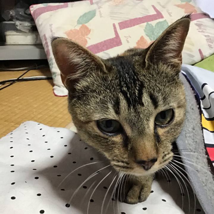 5400e3e4 3a0d 4913 83de 836d0a398b53 1583391833032