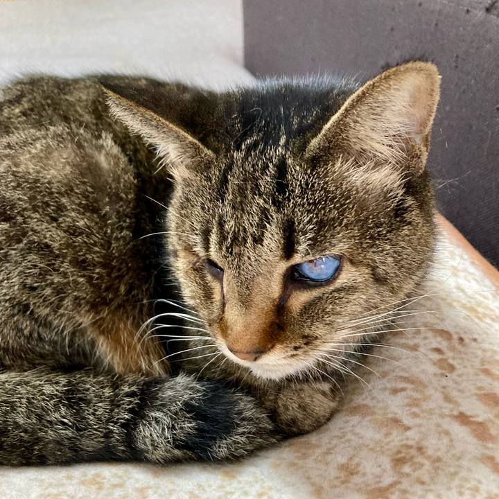 54013cc5 33c2 491b a7ca b25aab833fbf 1648111598835