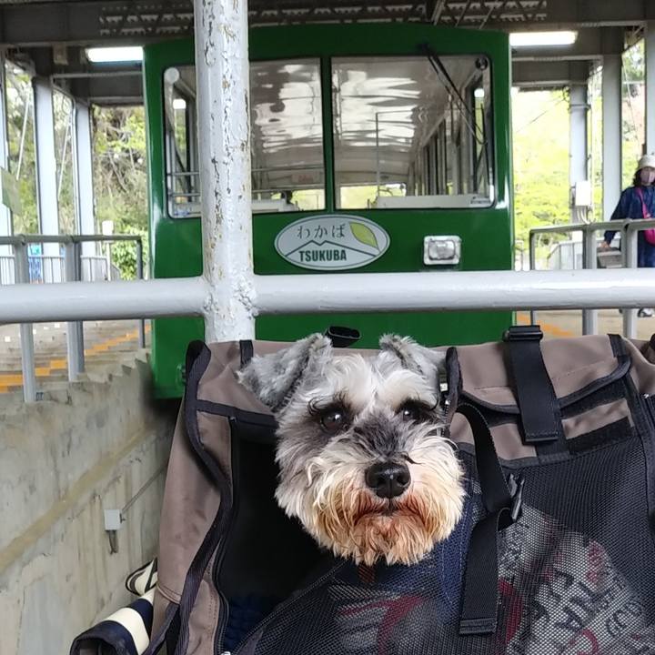 54013f3a 385b 486c 8c9b a3b157f9ef83 1617517293380