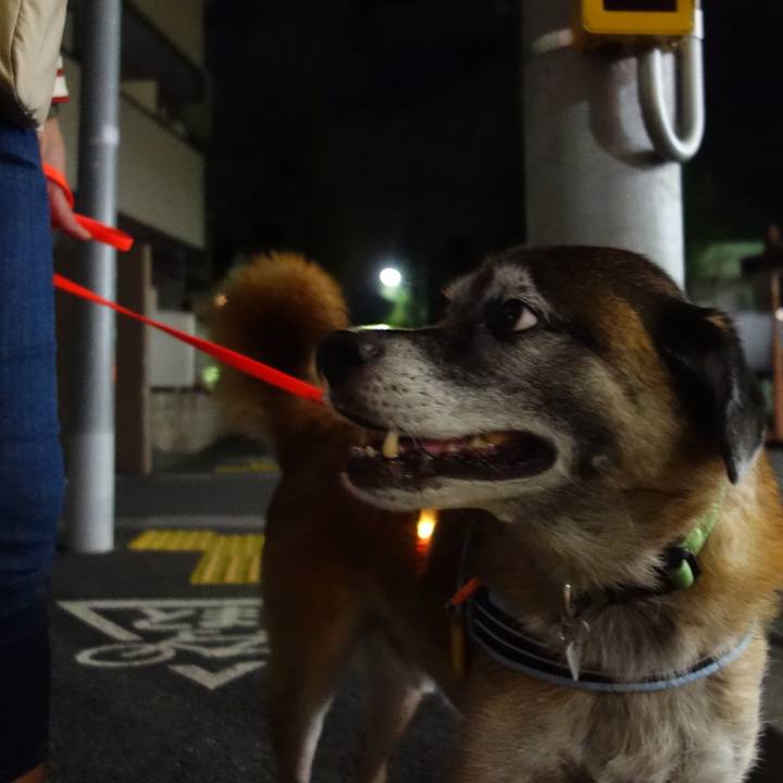 54016611 0bb3 4525 82f5 2f27771e95f8 1537614775178