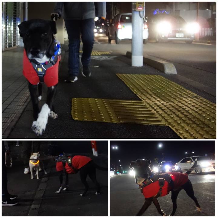 5401a408 8e8c 4eeb 9f7b 0be5861d39d1 1644837023082