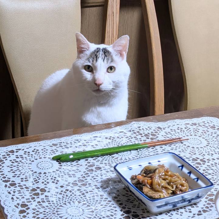 5401b199 30b8 4237 b780 7ba1cda330e4 1728627483450