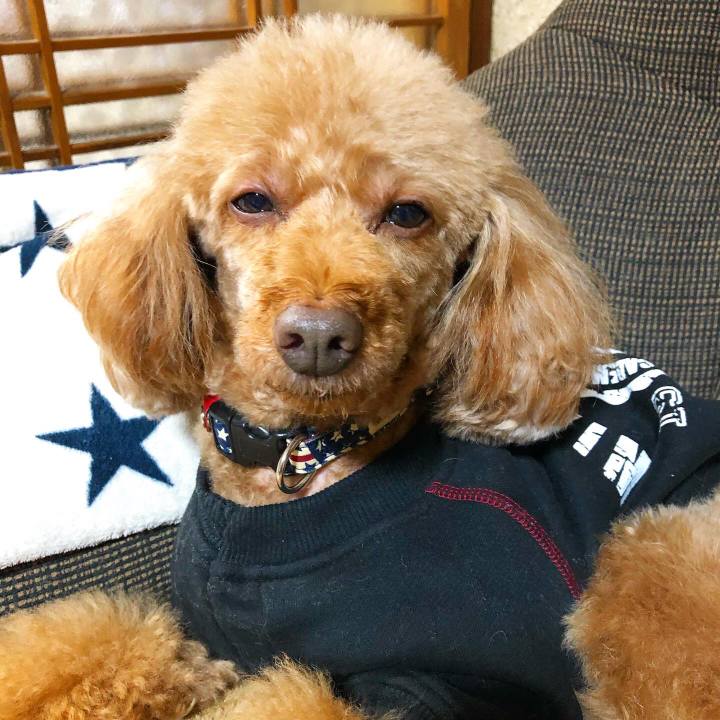 54021a61 88bb 459e bff1 8872bb112279 1615701559488