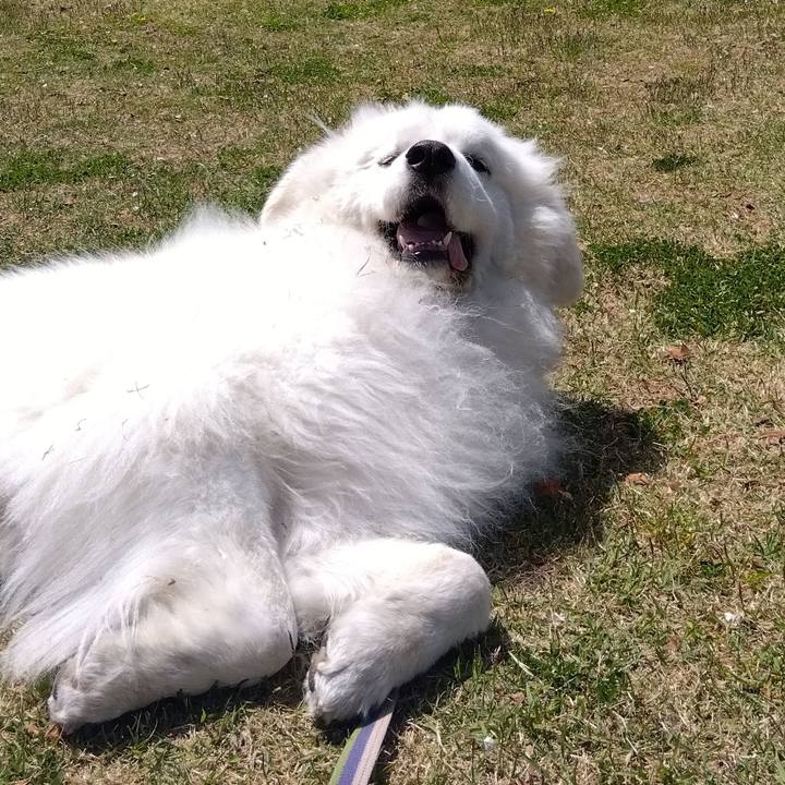 5402470d 94bc 40e2 aa81 45453deaf487 1682680400633