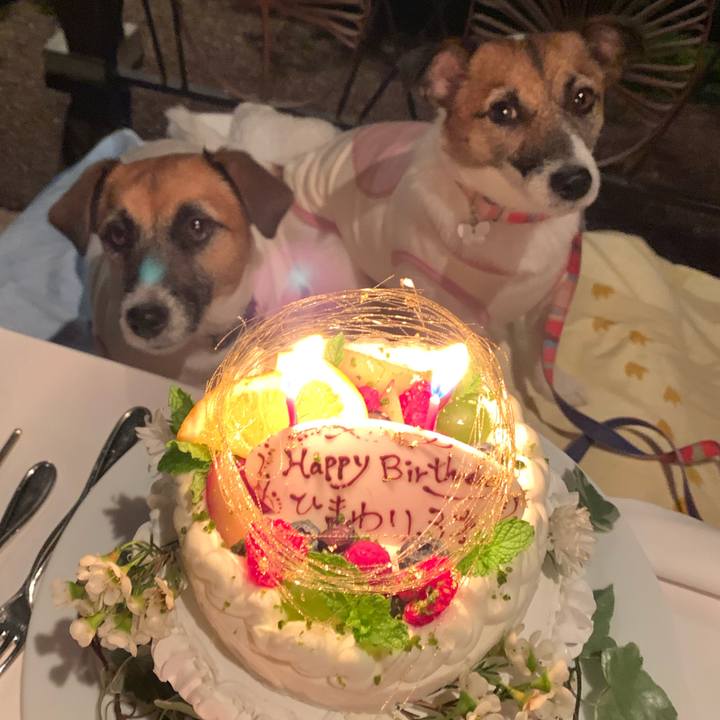 540267ee 96fc 4e2e 9fbf 606a59592fdf 1568461996943