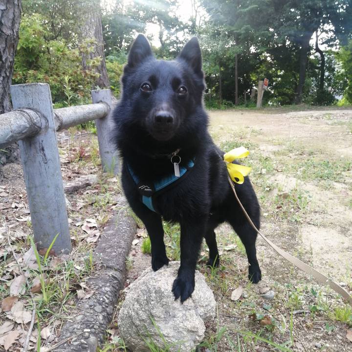 54026f79 e6aa 4bd0 9b42 017f05daef35 1656363551902