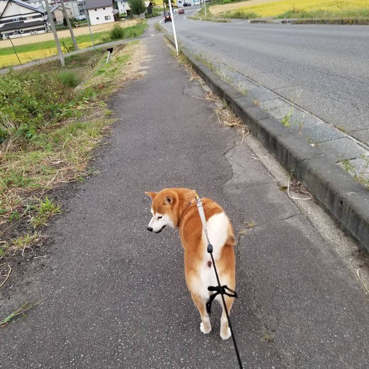 540286d7 e4b4 4f7d a841 a886689846f2 1569310137791