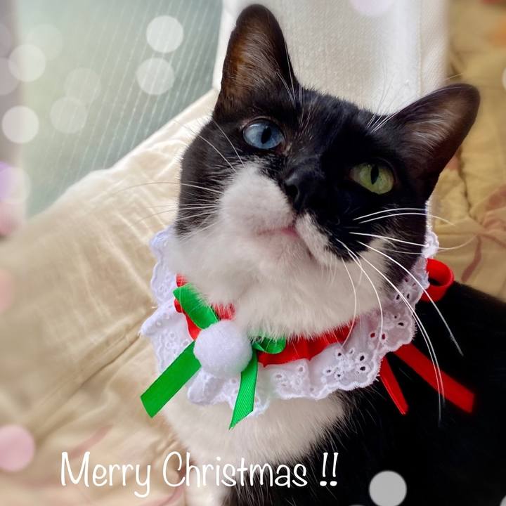 54029b85 3a10 4ded 8b74 663031914bc6 1703503760115