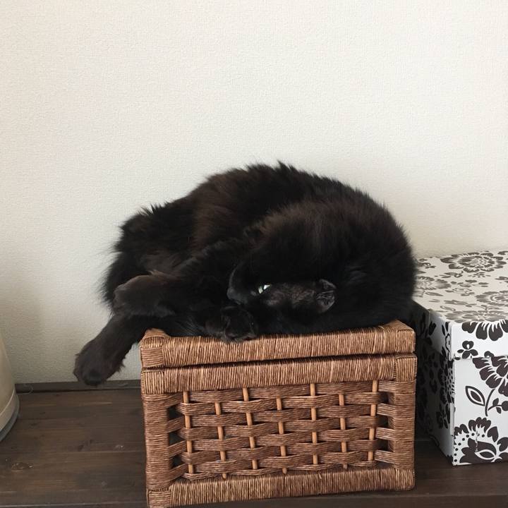 5402c0cb 0f37 49e2 a5c8 de6c693bfc66 1551585224741