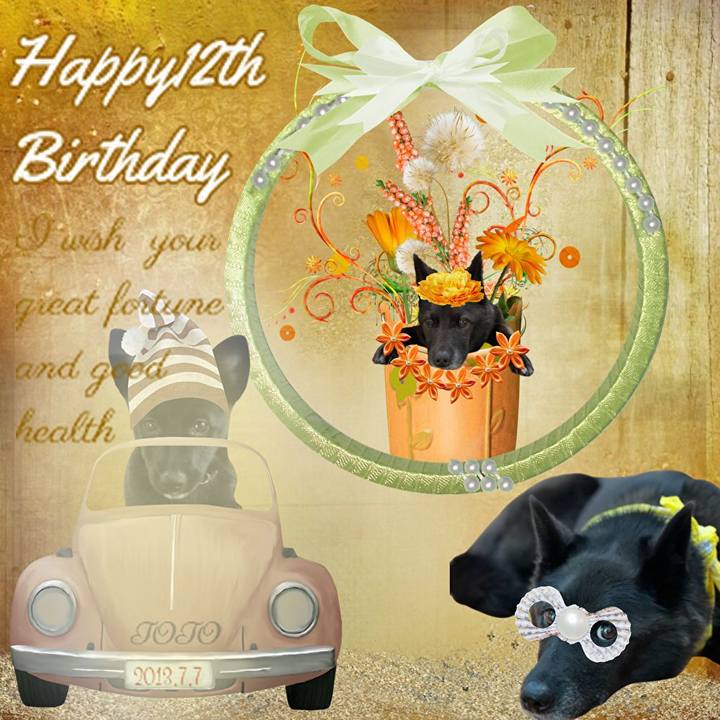 5402ea0e 6ecf 4a1e b40f 35540cbf1d8d 1754194981585