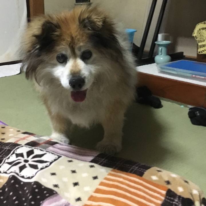 540348f6 4d12 452b 8cdf ae315c01d77d 1585658367022