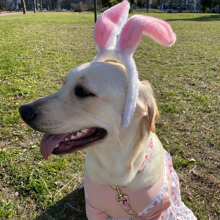 54034a89 5e12 47cc a8b7 c803be2acee3 1641605414139