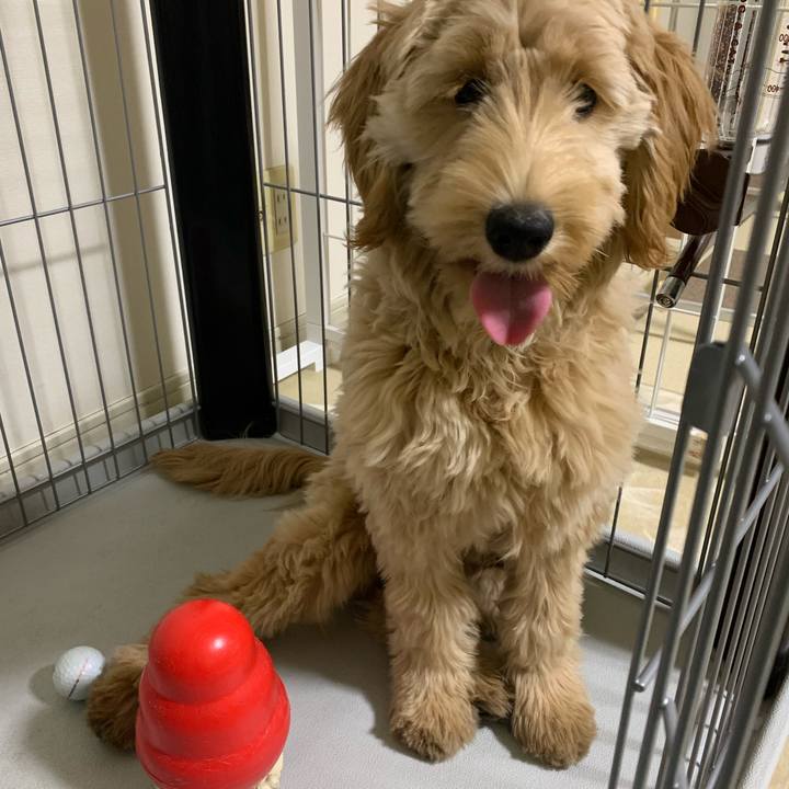 54035782 9698 4572 9496 af35785110e0 1684033954931