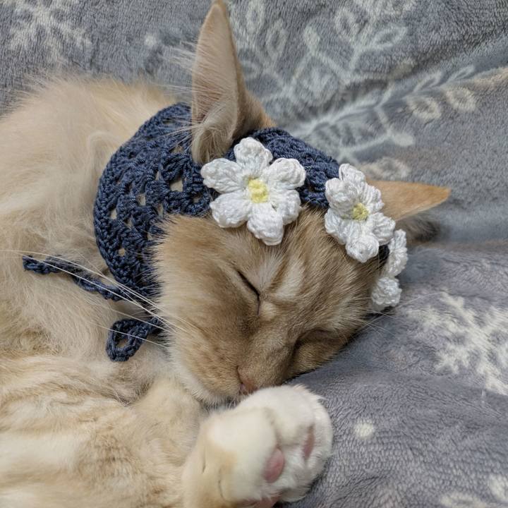 54038690 c294 4dd7 8249 6c46ad926cc3 1772723047653