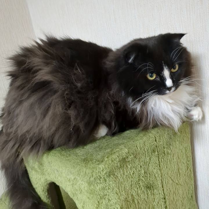 54038cfa 95a9 4c82 95f8 0c7a32628e36 1671893817508