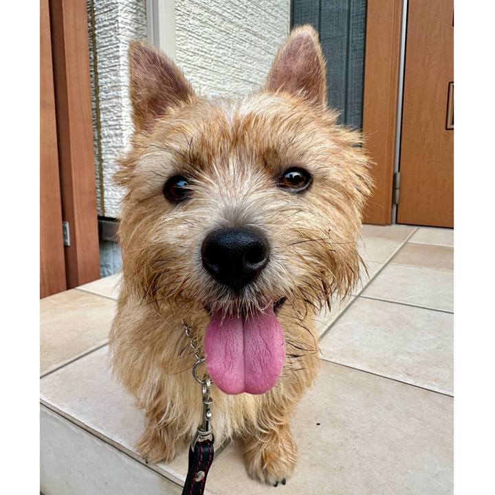 54039ac1 541f 4b9e baca 9f023158d362 1757494981645