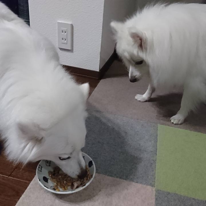 5403b104 43a6 445b 84ed c82606582fb3 1588764686660