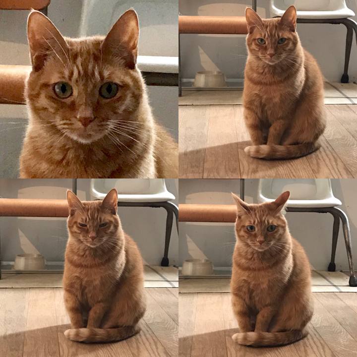 5403b5ac fc78 4db7 932e e0f91a60a74b 1553996415442