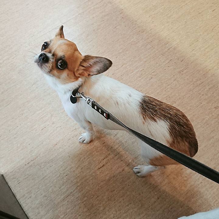 5403e7b1 4939 44b1 bd40 2628f9fd9c8b 1604283070631