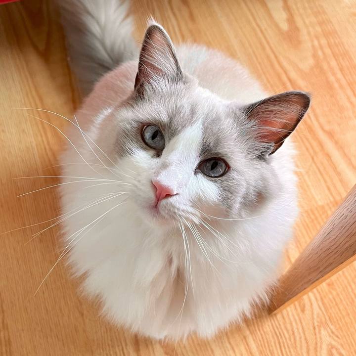 54041265 5a22 4146 b9de 9c84135d2e2e 1637901382187