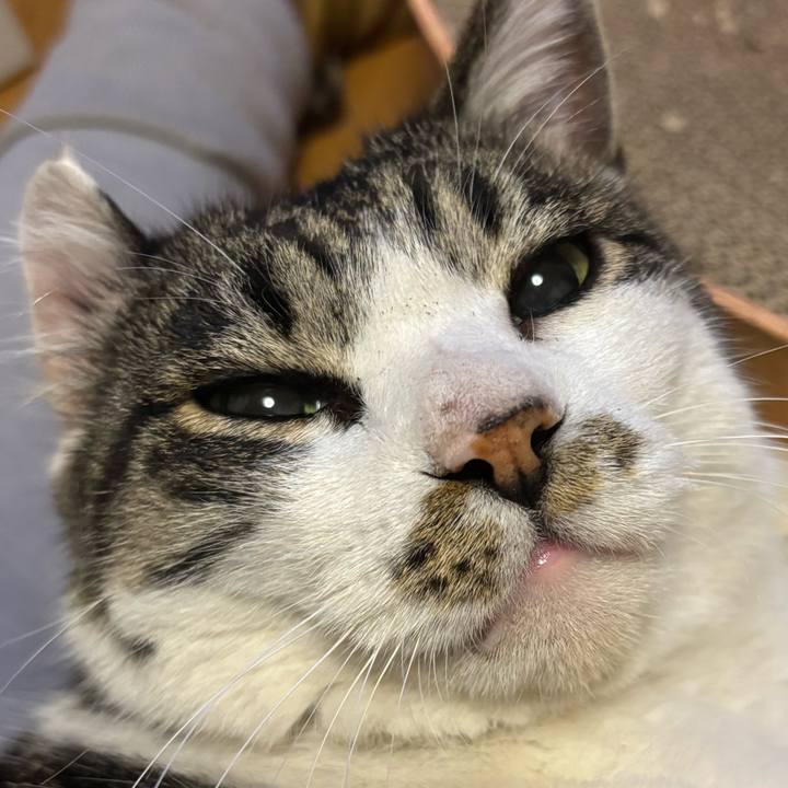 54043b0b f738 45d8 a529 d7ecf74a2477 1767419351691