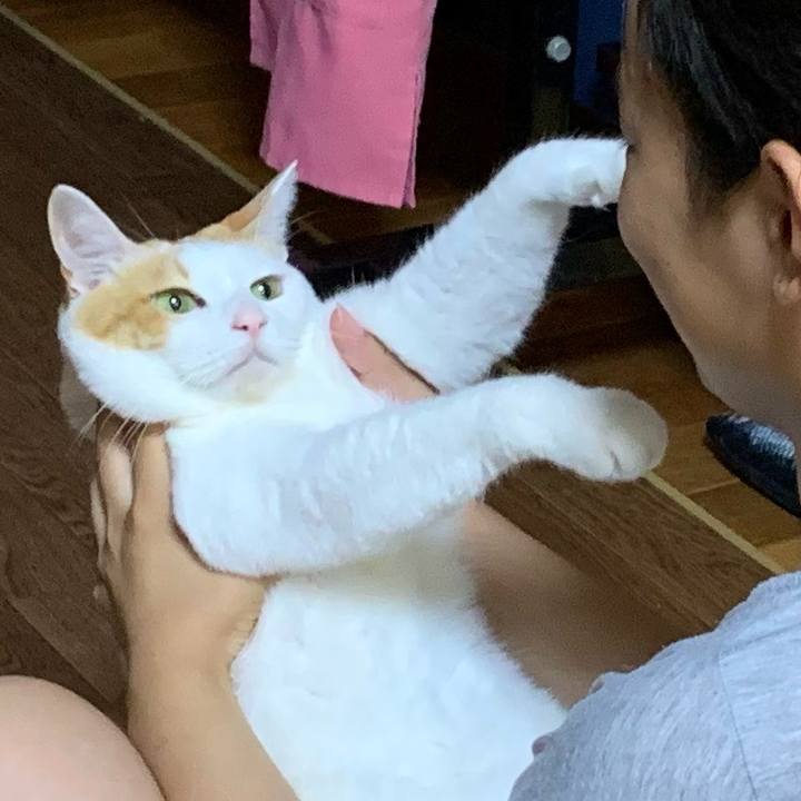 54045931 6fc9 4d95 96e2 a843674fa718 1628162377134