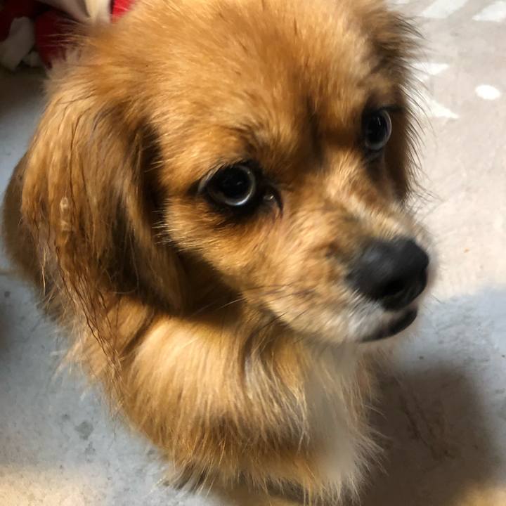 5404a12e a594 46e4 adad b7c4c099fa10 1538171255641