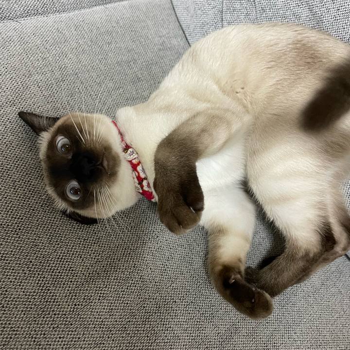 5404ae7b b889 44e3 a57a c90c26278c37 1703359655671