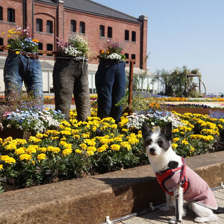 5404b97c df96 4fbf 8edb 05d3066278e3 1649472757249