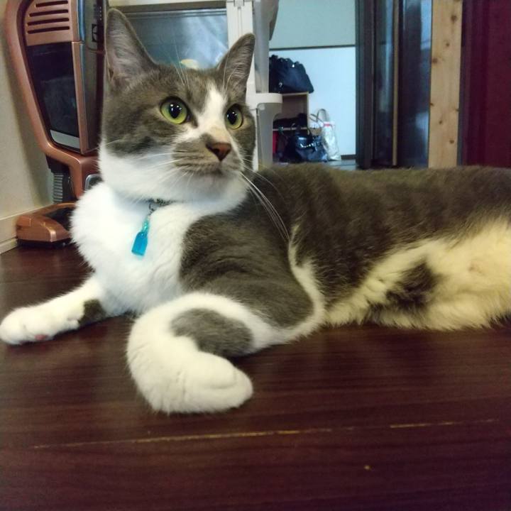 5404cdd1 8113 46be 8d3d b390f0feeed7 1623622841085