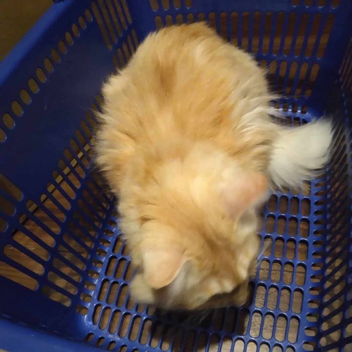 54051fa2 9d69 43c9 abaf e1ca82cb1ba7 1692959774240