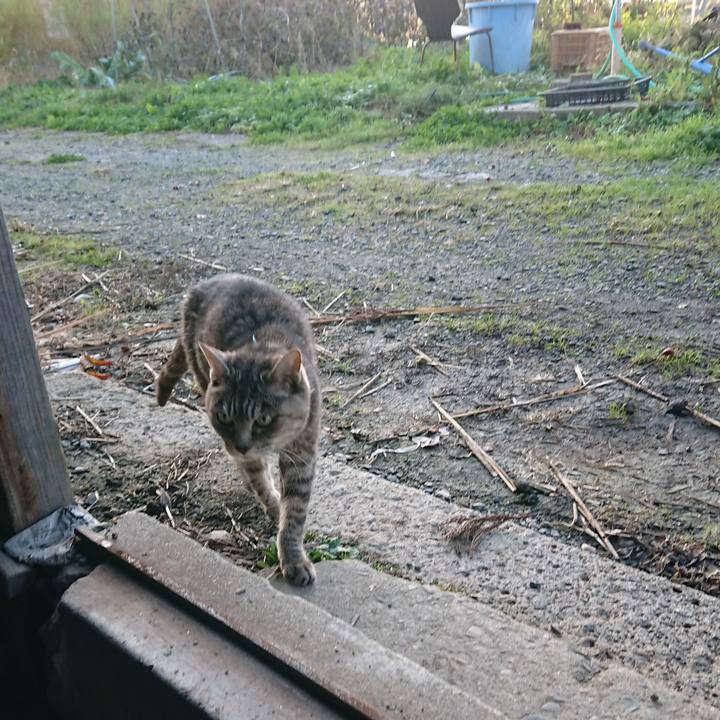 54052a3a 9145 47cd 9017 3e306bd37523 1573598083282