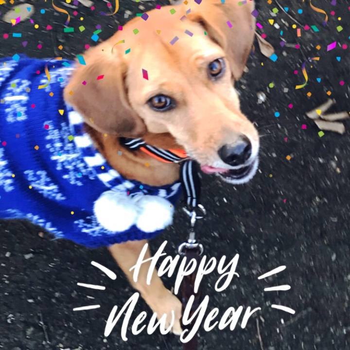 54053395 c0cb 40e4 82a3 f1e6e353f6a5 1514895820919