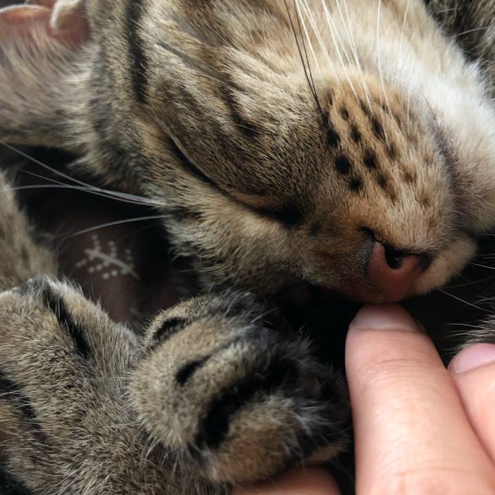 54058b3a bb1f 4cc4 8a2e 0ebe13d1f4b0 1563283952079