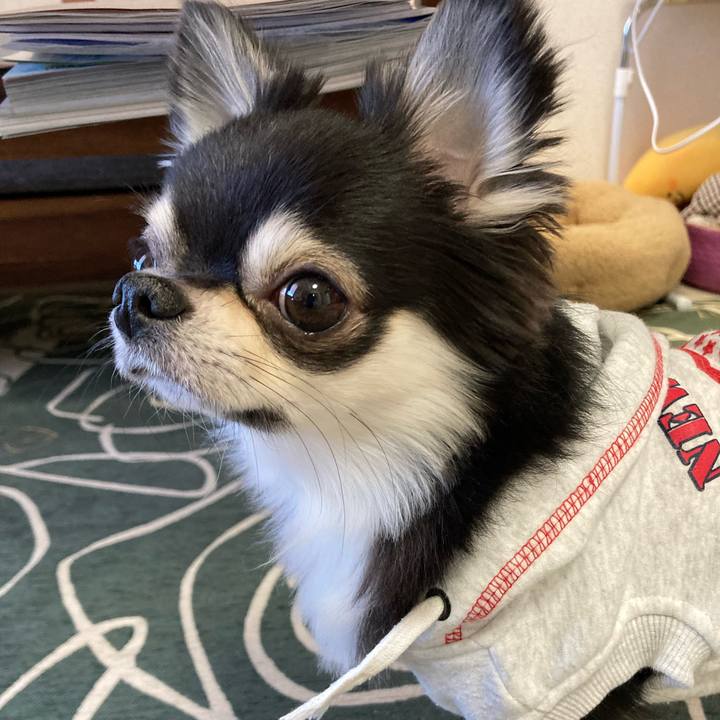 54059868 5bc7 427e 9e9c 73d26dda0430 1646544490535