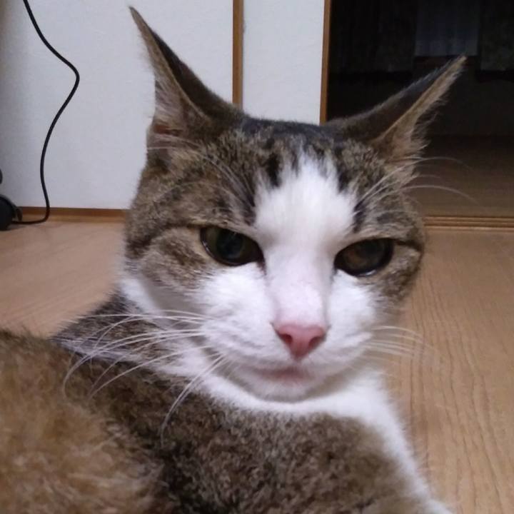 5405b5b8 2283 404d 8bb0 0a90e44ea845 1526129135259