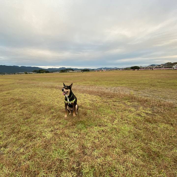 5405be26 545e 4e9c a469 a77be24aa9f1 1634557480948